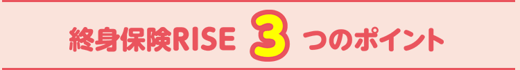 終身保険RISE　3つのポイント