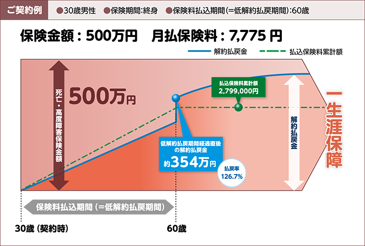 ご契約例　30歳男性